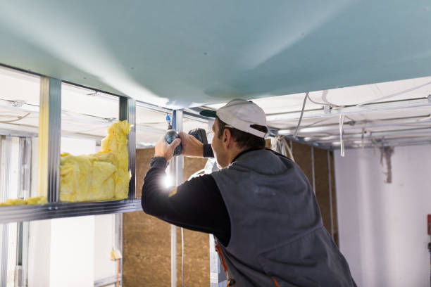 Best Attic Insulation Installation  in Phillipsburg, NJ