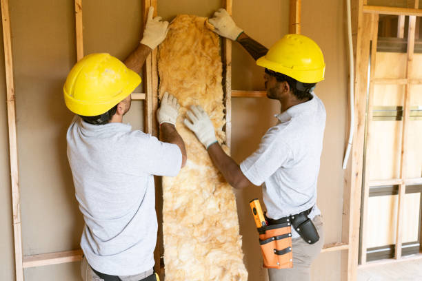 Best Attic Insulation Installation  in Phillipsburg, NJ