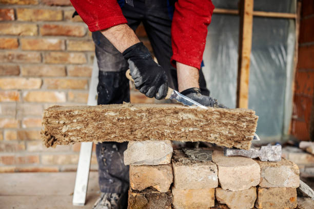 Best Best Insulation Companies  in Phillipsburg, NJ